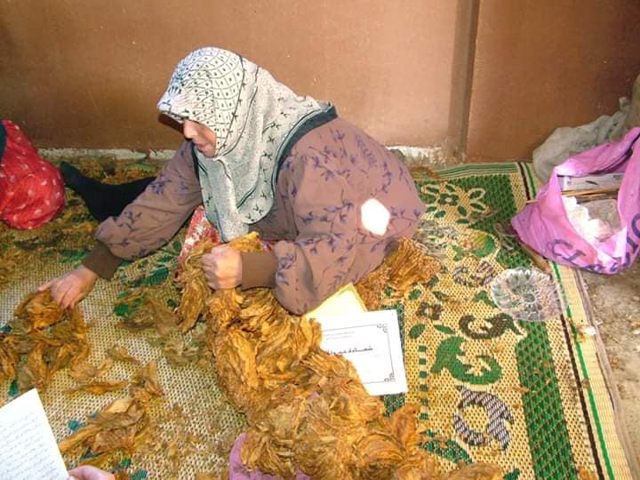 حمدى يحيى فنّانة ولد فنّها من رحم التّبغ في جنوب لبنان