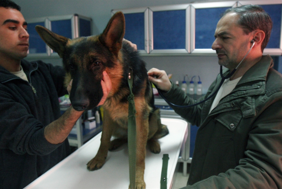 الطبّ البيطريّ: أطبّاء من الدرجة الثانية!؟