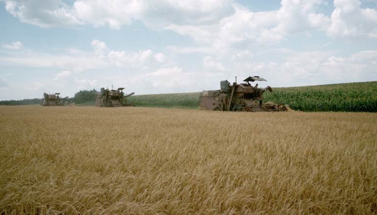 لبنان يستورد أكثر من 80 في المئة من حاجته للقمح من أوكرانيا فقط (Getty)