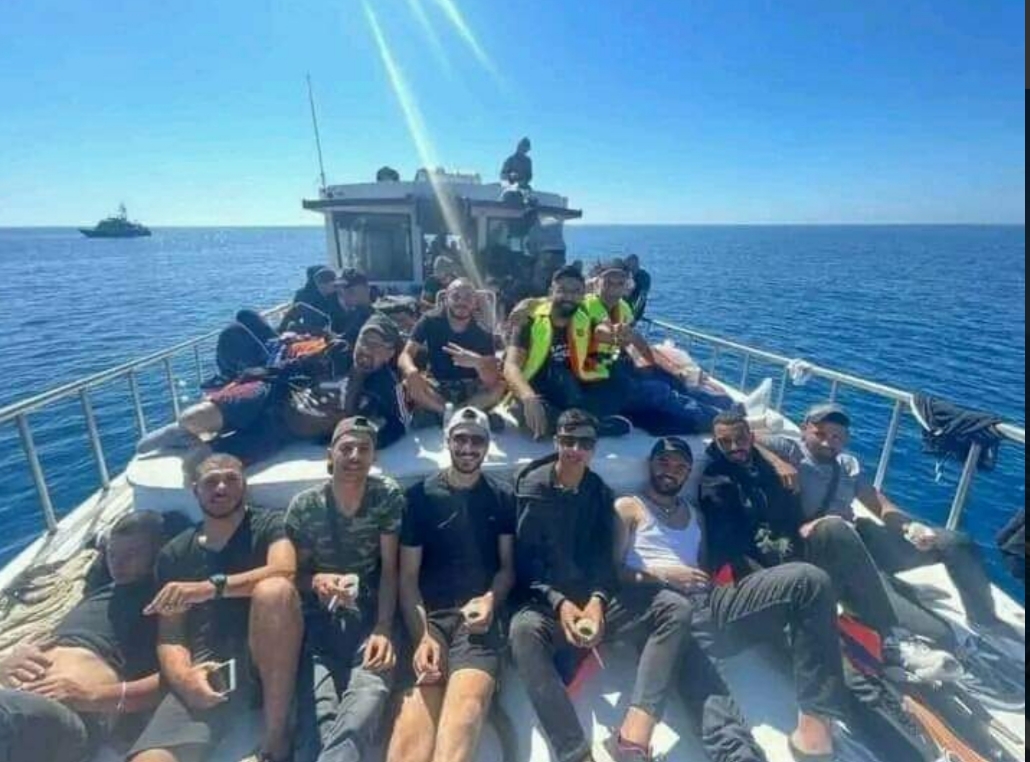 عدد من المهاجرين غير الشرعيين إلى الخارج