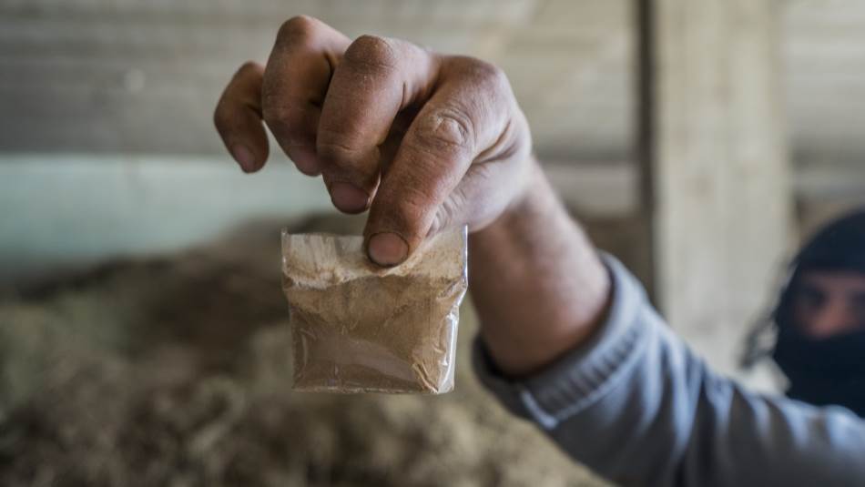 وقاحة المروجين وإرادتهم تفوقان الخيال (Getty)