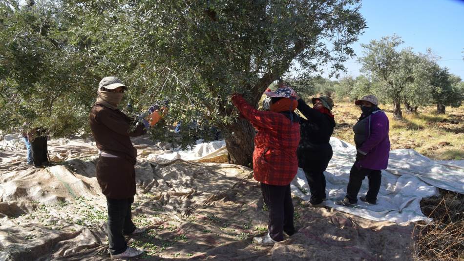 ظروف خطيرة تهدد الصمود والتمسك بالأرض (الأرشيف)