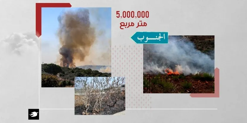 صورة  حسين سعد