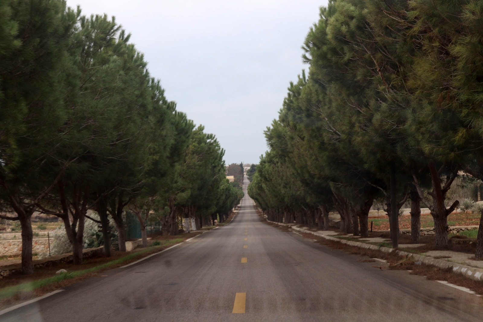 (الطرق العامّة في قرى وبلدات القطاع الغربي خالية من أي حركة)