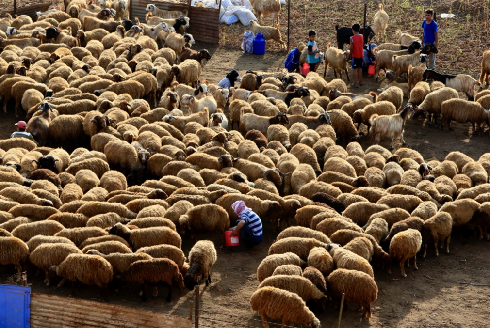 وجّه عدد من أهالي القرى كتاباً إلى البلديات للمطالبة بطرد أحد «المشتية» (علي حشيشو)