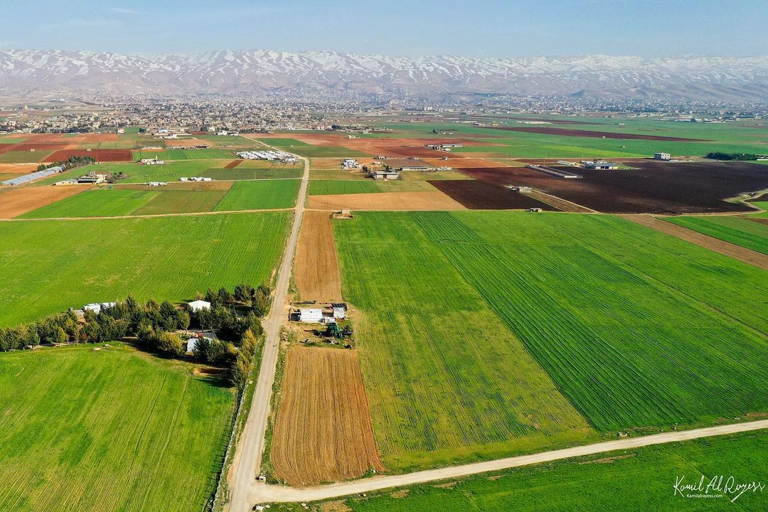 من صفحة المصوِّر كميل الريّس