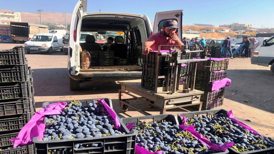 ضرر التهريب لا يستثني مزارعاً في لبنان وهو تجارة لها منظومتها المتكاملة