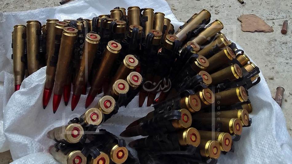 تطويع صيدا التي تتوه بين المايوه والنفايات (Getty)