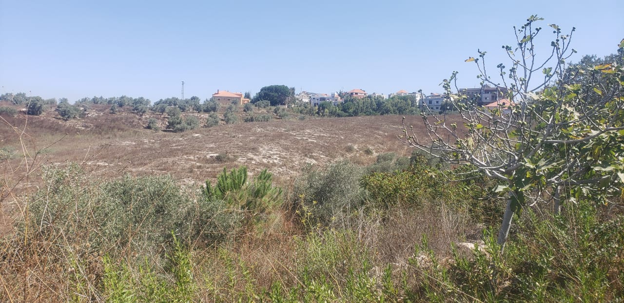 الموقع في منطقة بيئية نظيفة وهادئة كاشفة لا تحجب، تتميّز بإطلالة رائعة على كروم الزيتون وعلى جديدة مرجعيون والجوار