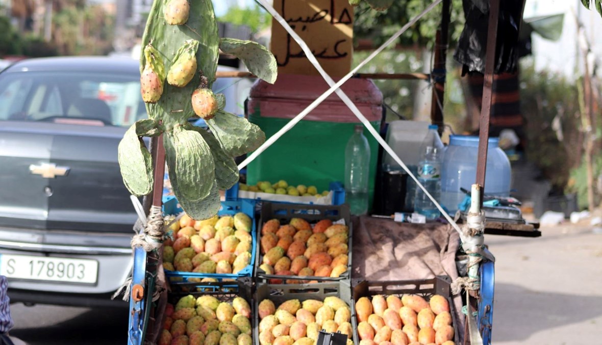 بسطة الفواكه في صيدا. (تصوير أحمد منتش)