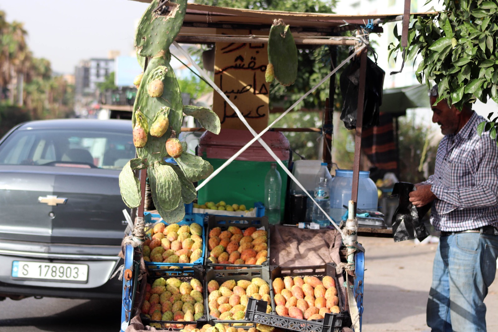 بسطة الفواكه في صيدا. (تصوير أحمد منتش)