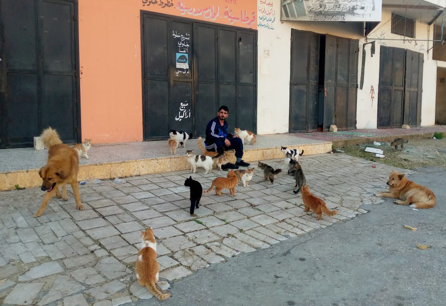 رفيق حسن قاسم بين الحيوانات الشاردة في بلدة عيتا الشعب