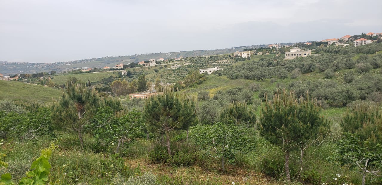 جانب من أرض بلدة الخيام المعطاءة ، من عبق الطيّون والوزال ومن صلابة السنديان وعنفوان الجبال