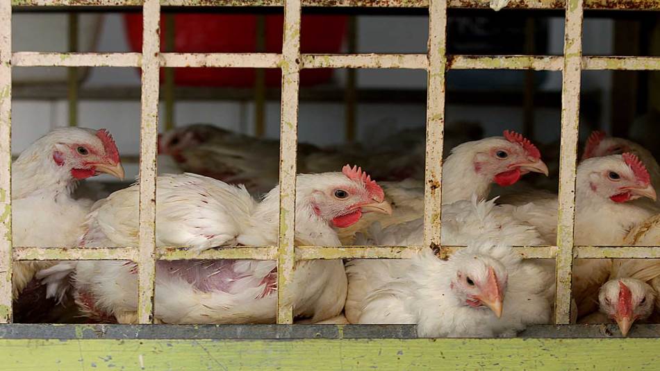 يجب أن تأتي المعالجات من ضمن رؤية اقتصاديّة أوسع (خليل حسن)