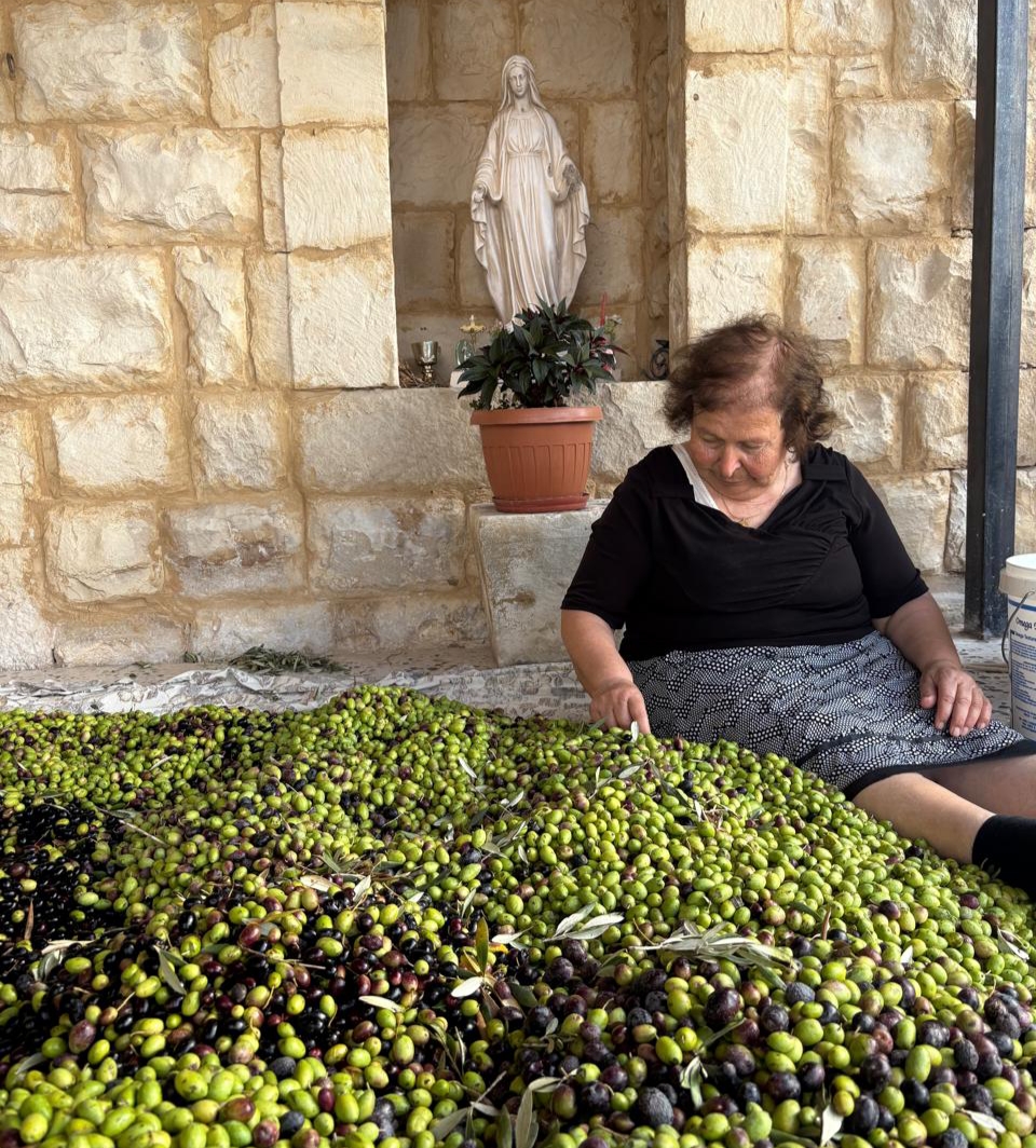امرأة في بلدة برعشيت الجنوبية وموسم الزيتون الذي غنمت به هذا العام