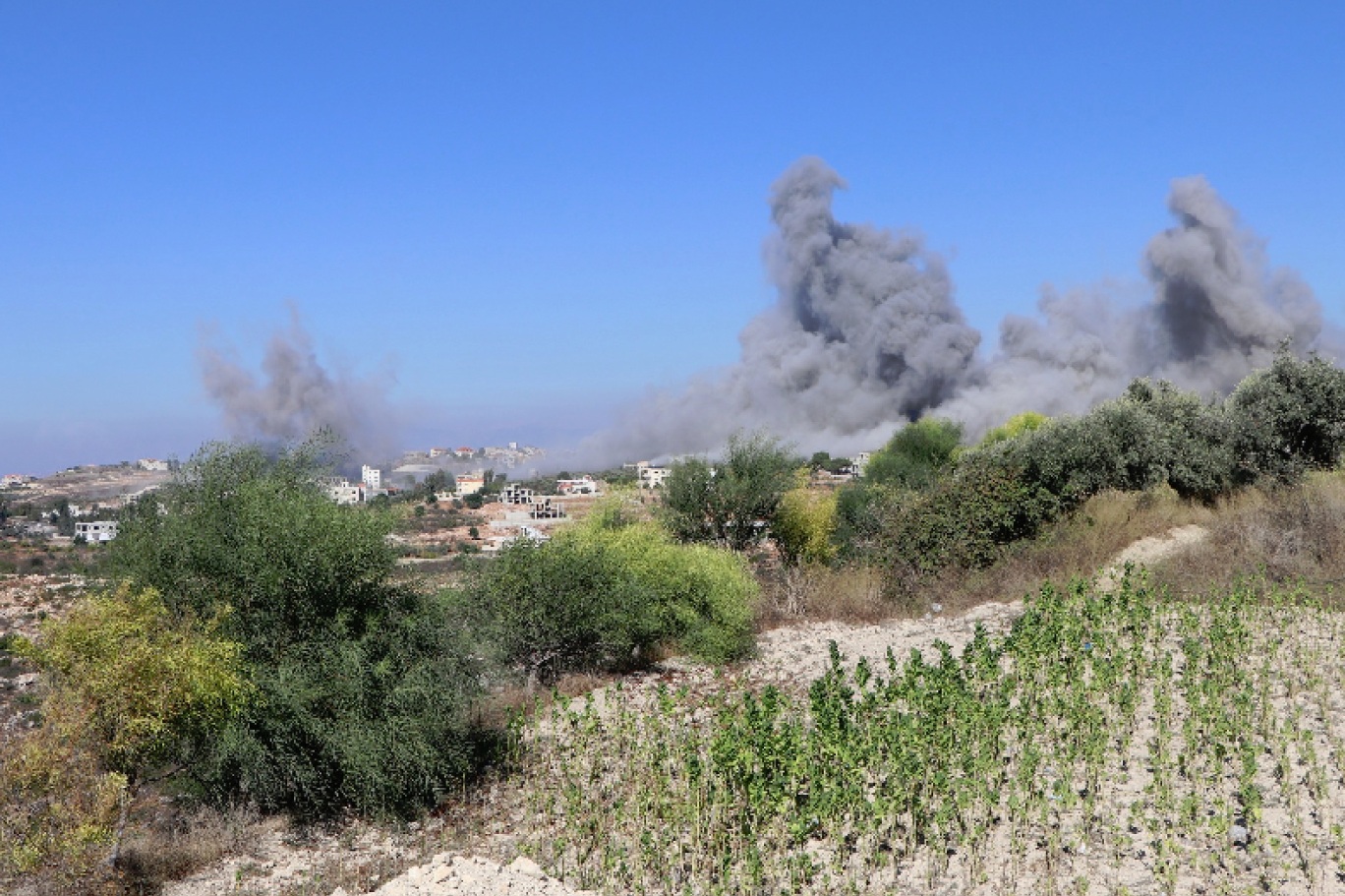 “المجلس الوطني للبحوث العلمية” يقول إن “الجيش الإسرائيلي استخدم سلاح الفوسفور الأبيض الحارق في المواجهات الأخيرة” في جنوب لبنان (اندبندنت عربية)