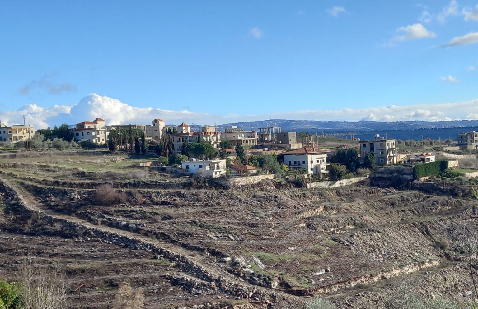 جانب من بلدة زوطر الغربية وتبدو الأحراج التي احترقت وكانت عبارة عن غابة غنّاء