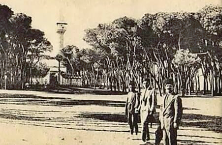 أشجاره الصنوبرية العتيقة يرجح أن يكون عمرها أكثر من 400 سنة (مواقع التواصل)