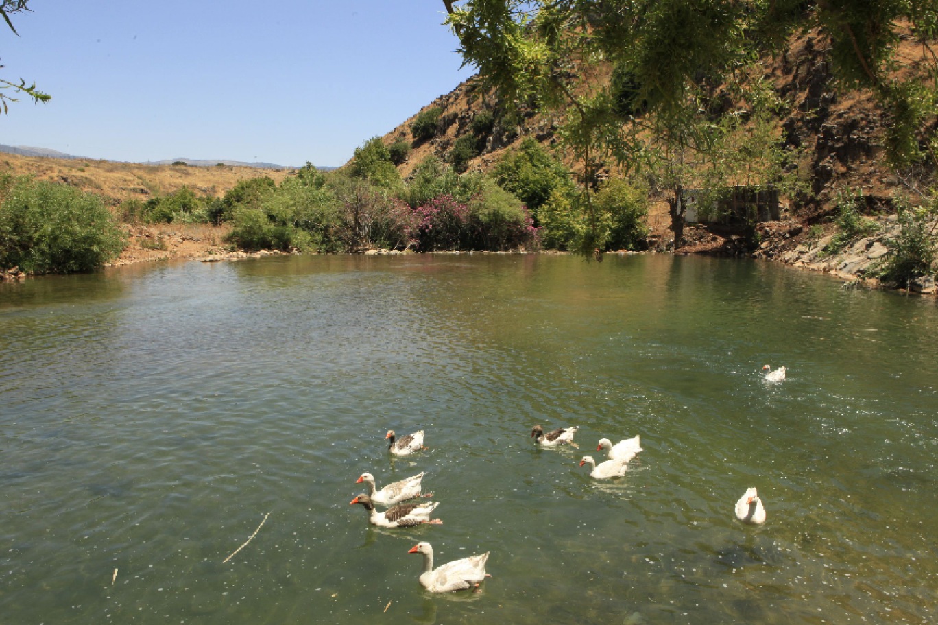 في جنوب لبنان تعبر الأنهار بين أوديته، لا سيما أنهار الليطاني والوزاني والحاصباني (اندبندنت عربية)