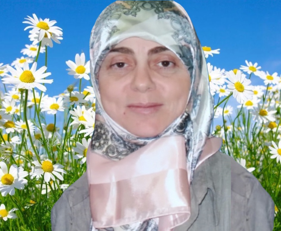 هيفاء نصّار: البابونج إنها زهرة خيامية أصيلة!