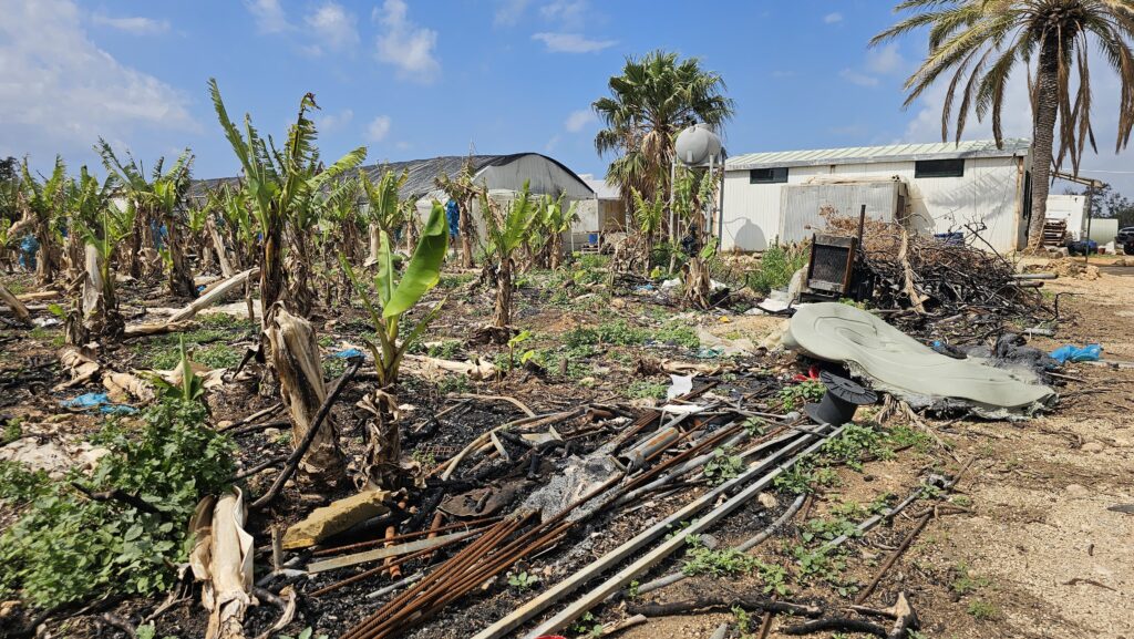 سهول موز متضررة جراء الحرب في الجنوب