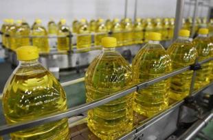 الطهي بهذا الزيت.. مفيد جدا لصحة القلب ويخفض الكوليسترول