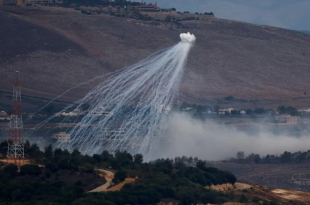 حقيقة تأثير القصف الإسرائيلي بالفوسفور الأبيض على الزيتون والزيت المستخرج منه