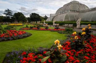 حديقة كيو في لندن متحف الحفاظ على النبات العالمي