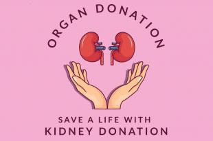 نداء إنساني: مطلوب متبرع بكلية (فئة +O أو -O) لإنقاذ حياة مريض في لبنان