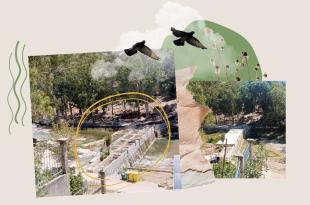 بذريعة الترميم.. جريمة بيئيّة يتعرّض لها نهر الحاصباني