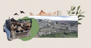 راميا الحدودية المدمّرة تحت قبضة اللصوص