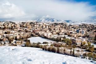 هنري زغيب: جنوب لبنان على طوابع فنان (1 من 2)