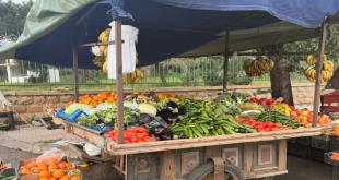 أرزاق تحت القصف: كيف تحوّلت الأرصفة إلى أسواق للنازحين