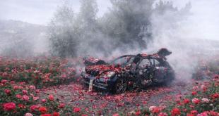 الشاعرة هدى صادق: دماء الشهداء تروى الأرض زهرا في بث مباشر لا يتوقف