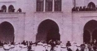 البغال المحمّلة.. حكاية من تراث الخيام
